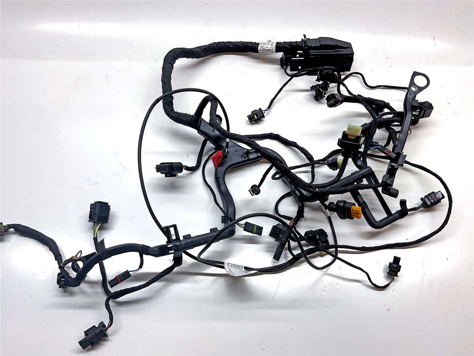 2024 BMW R1250R Engine Wiring Harness Loom - 12519480230