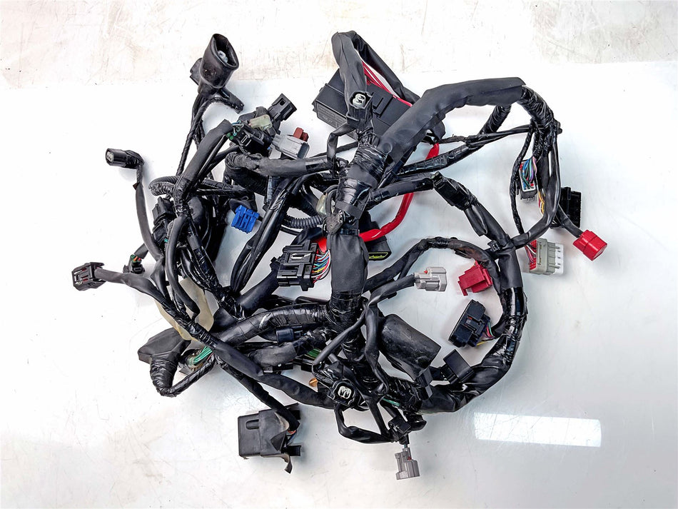2023 Honda CB750A Wiring Harness Loom - 32100MLBD00