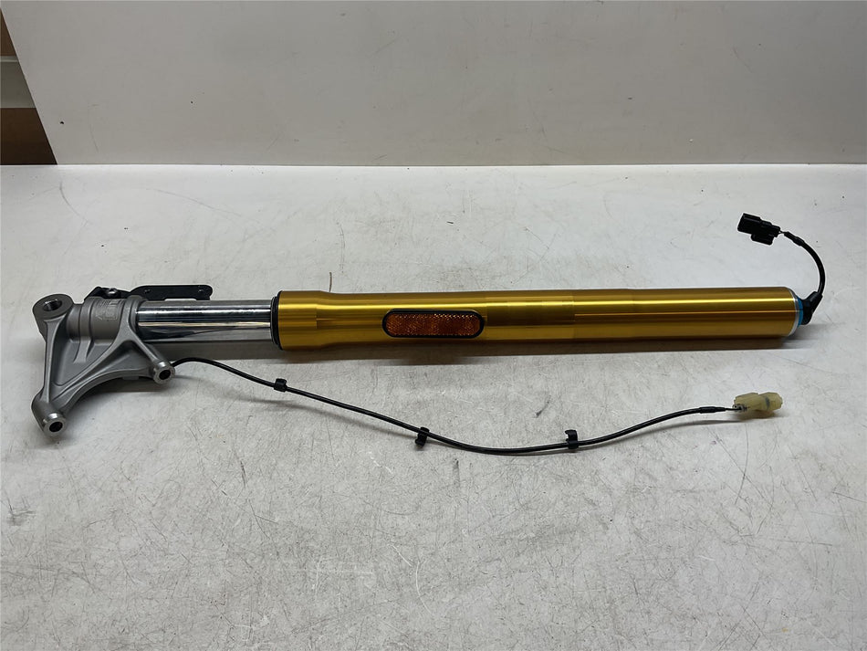 2025 Triumph Speed Triple 1200 OHLINS Left Fork