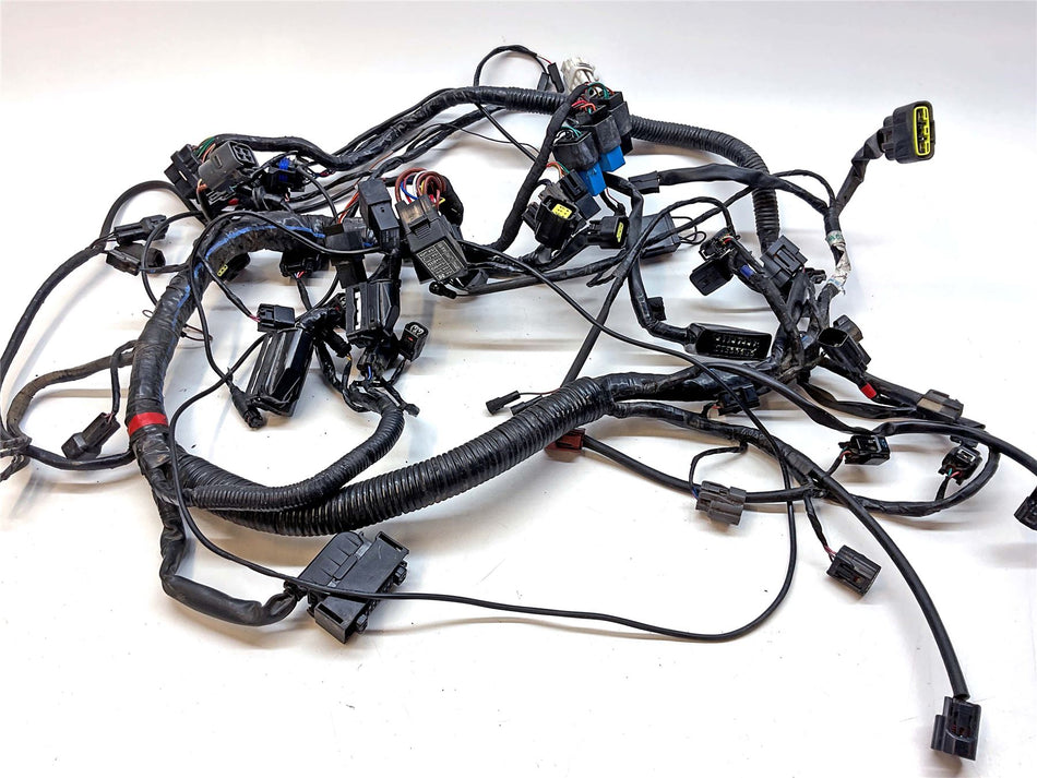 2019 Triumph Tiger 800 XRT Wiring Harness Loom - T2507614