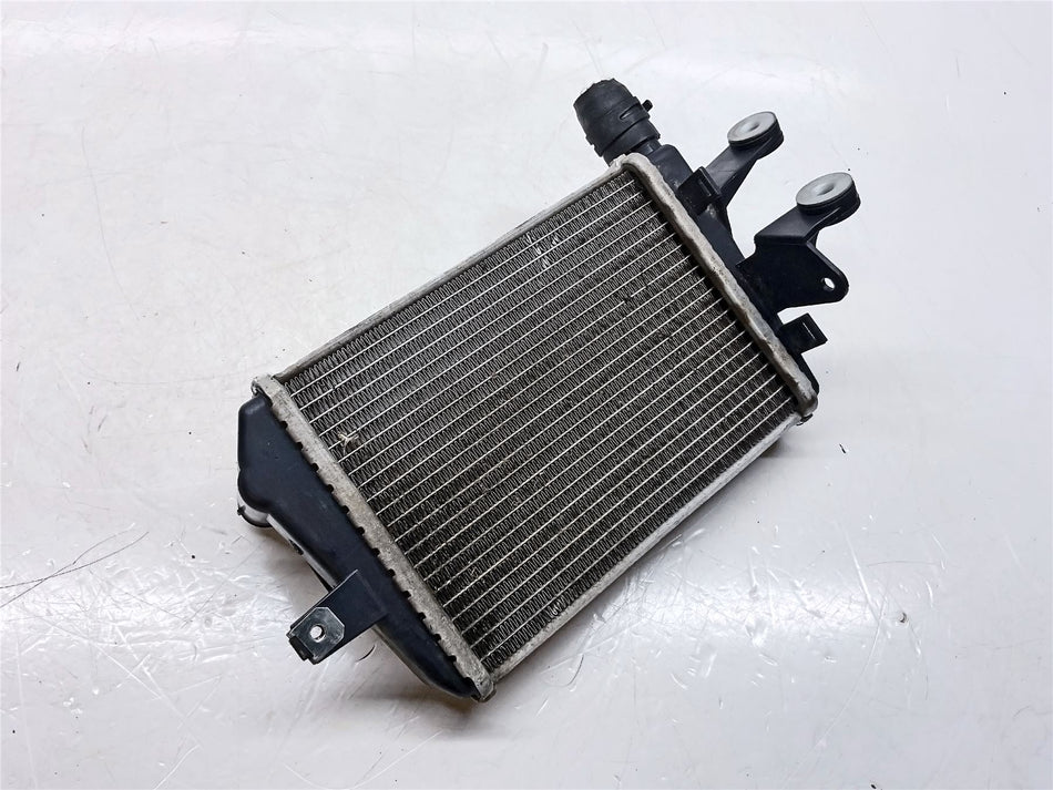 2023 BMW R1250GS Left Radiator - 17118546408