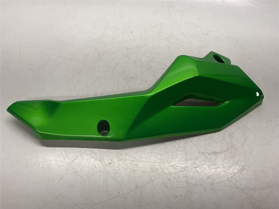 2020 Kawasaki Z900 Front Inner Cowling - 55028-0704