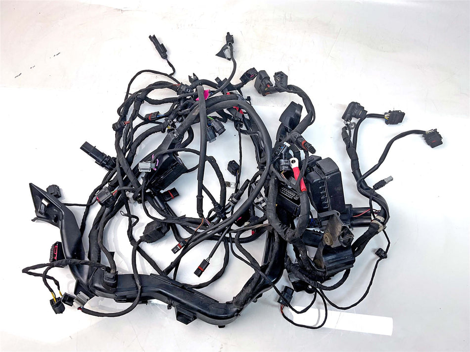 2021 BMW R1250GS Wiring Harness Loom - 12518394511