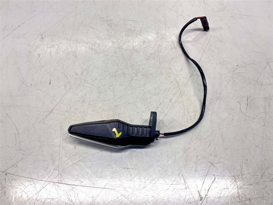 2022 BMW R1250GS Adventure RH Front Indicator - 63138557188