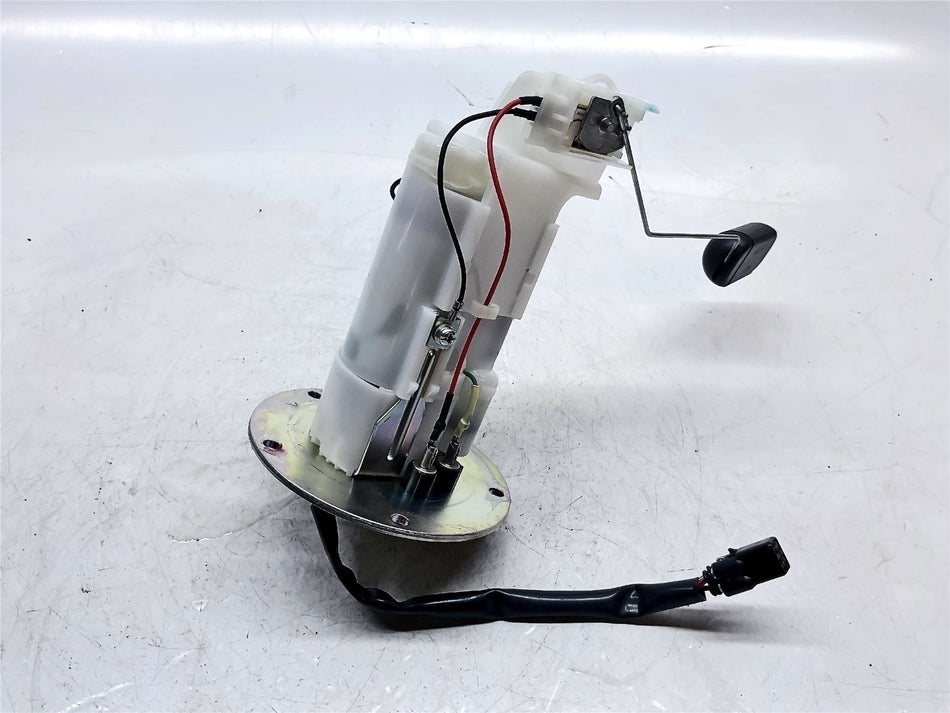 2024 Kawasaki ER-6f Fuel Pump & Sender - 490400754