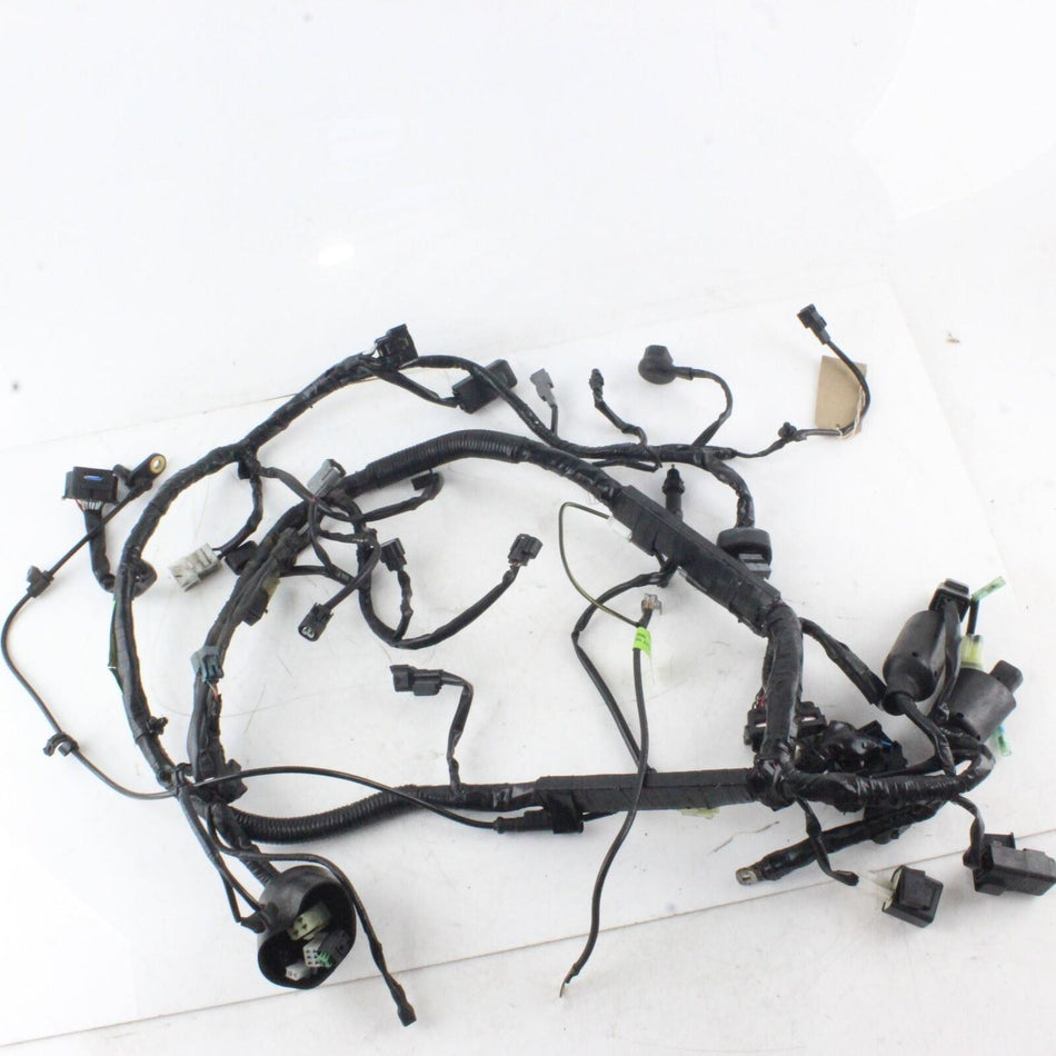 2018-ON KAWASAKI NINJA 125 Main Wiring Loom - 260312636