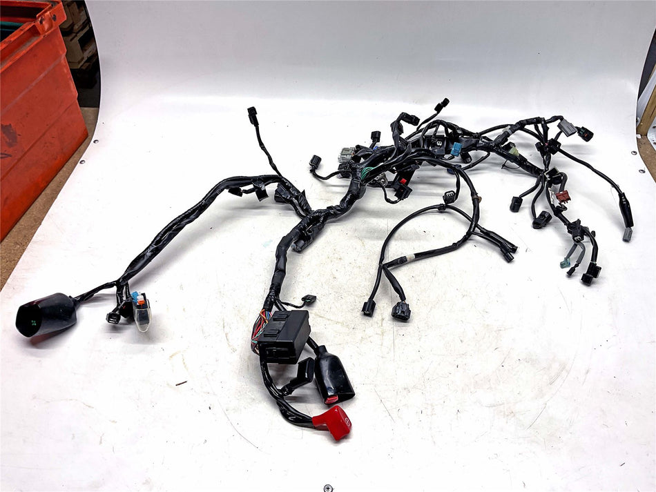2024 Honda CBR650R Wiring Harness Loom - 32100MKYE80