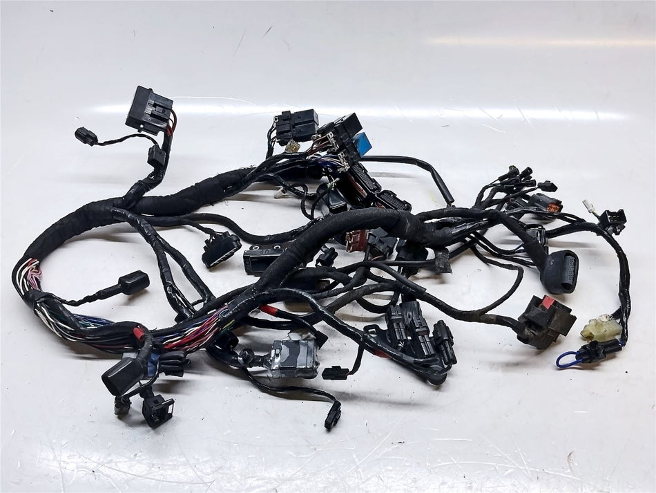 2019 Triumph Street Twin Wiring Harness Looom - T2501952