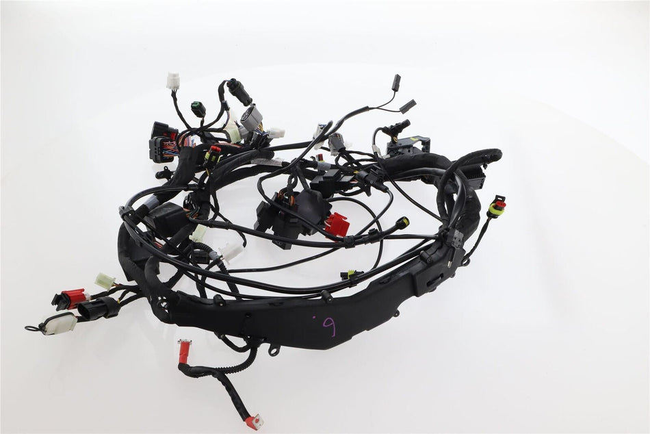 2020-ON APRILIA RS 660 LIMITED EDITION Main Wiring Harness - 2D000458