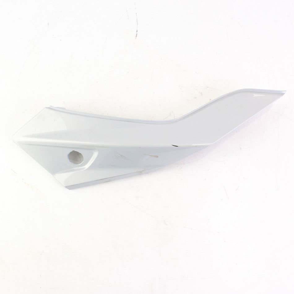 2020-2022 BMW F900R SE Left Hand Rear Fairing - 46639444549