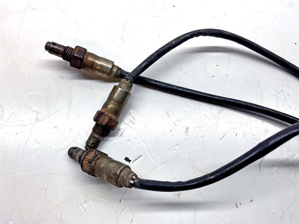 2023 Ducati Multistrada V4 Rally Lambda Oxygen Sensors x 3 - 55215021A
