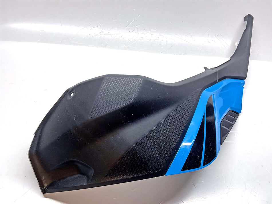 2025 BMW S1000R Sport Left Tank Trim - 46638569771