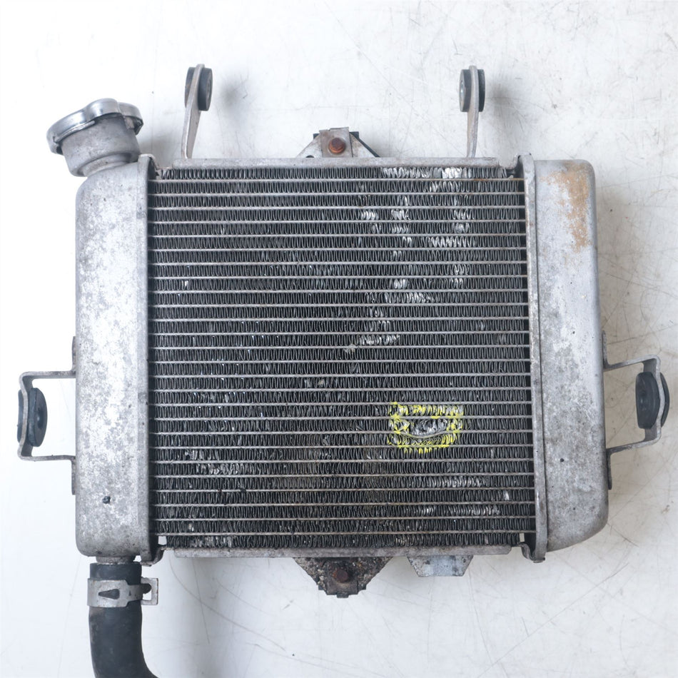 2019 Suzuki GSX-R125 Radiator With Fan - 1771023K00000