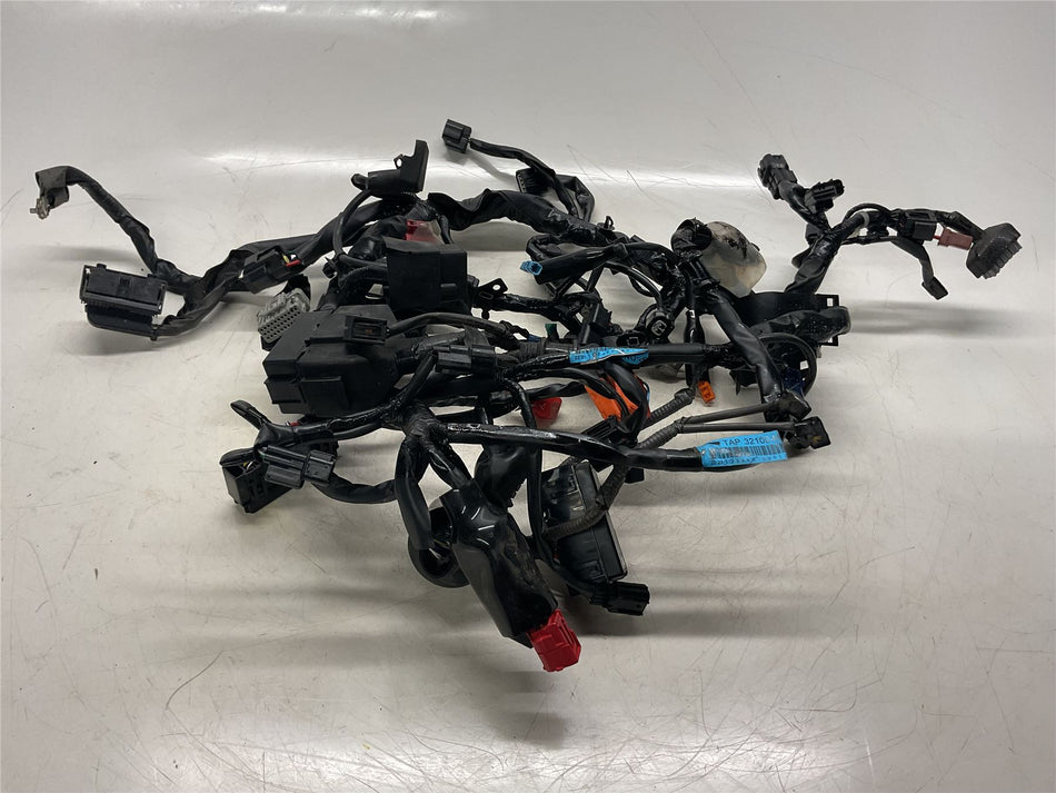2023 Honda CBR500R Wiring Harness - 32100MKPDN0