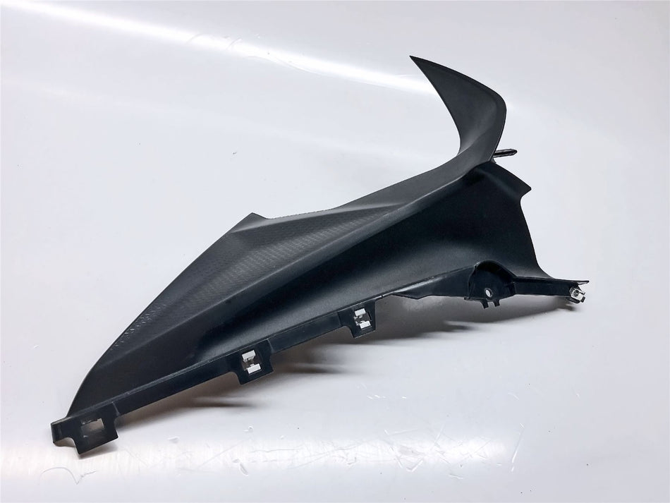 2023 BMW S1000RR Right Side Cockpit Trim - 46638569788