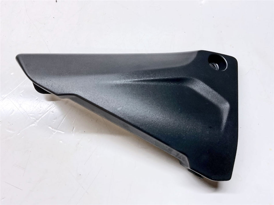 2019 BMW R1250R Left Battery Cover - 46638523155