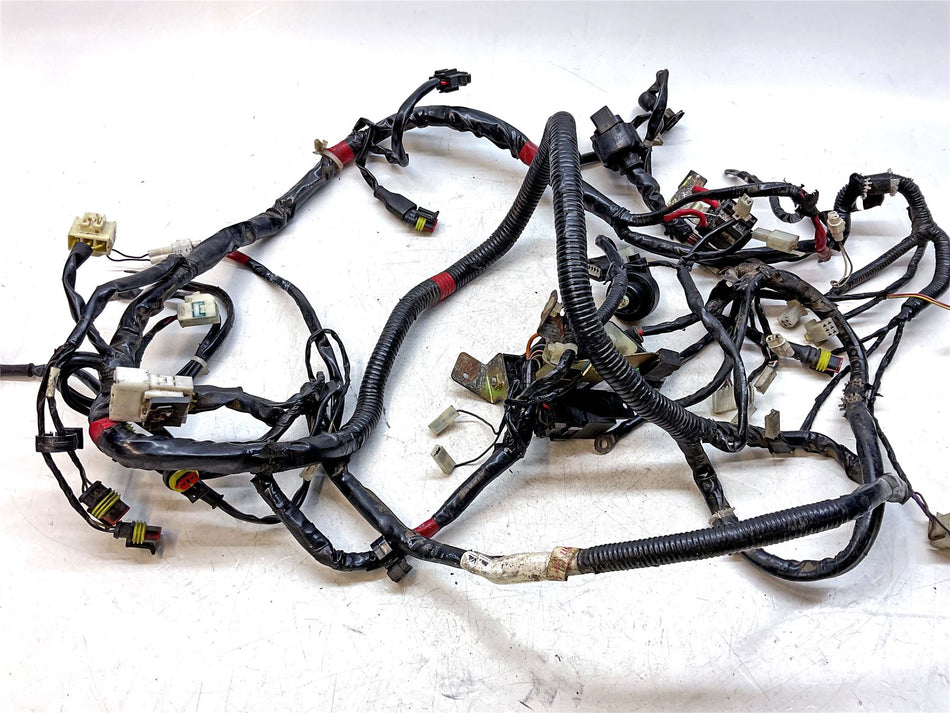 2004-2017 Piaggio Fly 125 Main Wiring Loom