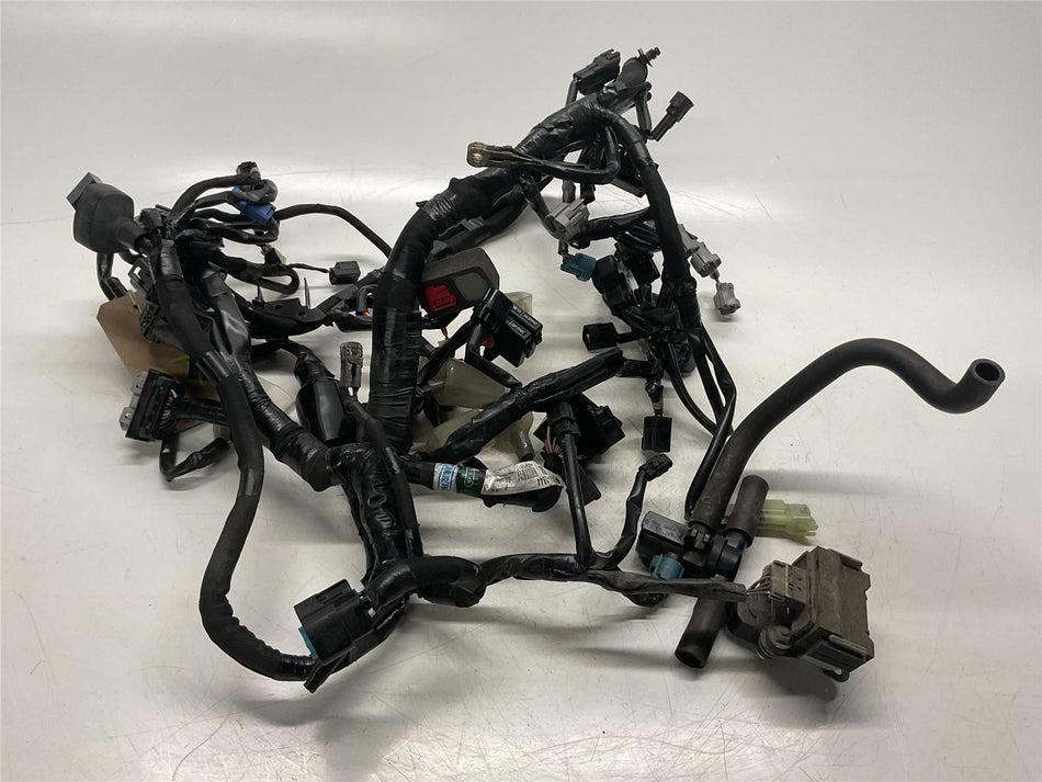 2020 Kawasaki Z900 Wiring Loom - 26031-2844