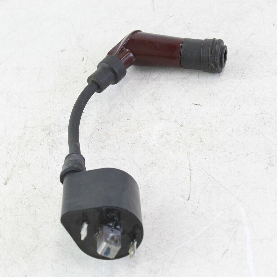 2016-2019 TRIUMPH THRUXTON Ignition Coil, Short - T1290308