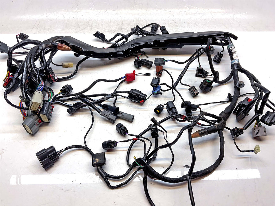 2024 Triumph Tiger 900 Rally Pro Wiring Harness Loom - T2504718