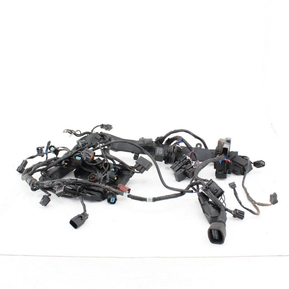 2015-2016 TRIUMPH STREET TRIPLE RX 675 Wiring Harness - T2508077