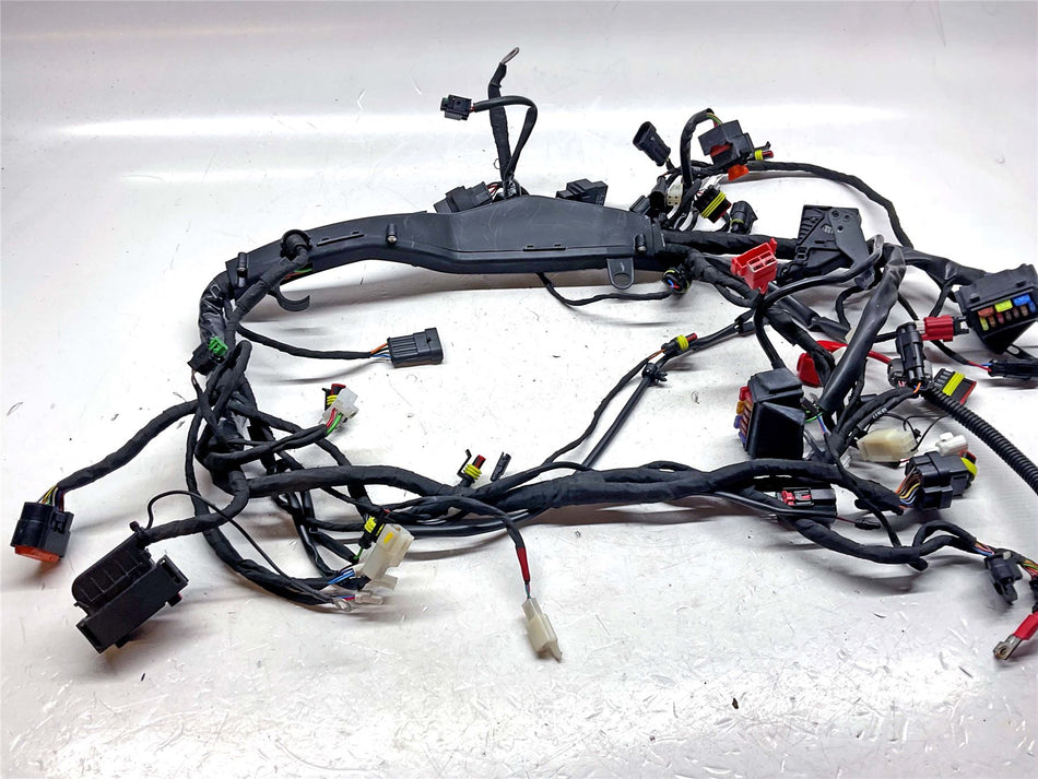 2022-2024 Moto Guzzi V100 Mandello S Wiring Harness