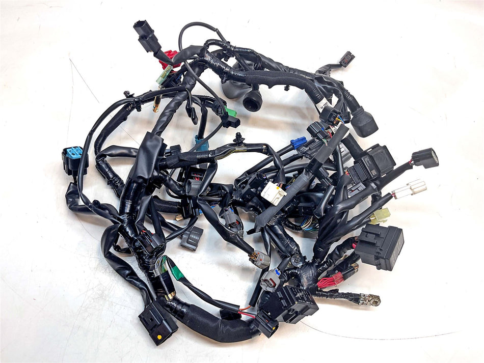 2025 Kawasaki Ninja 500 Wiring Harness Loom - 260314299