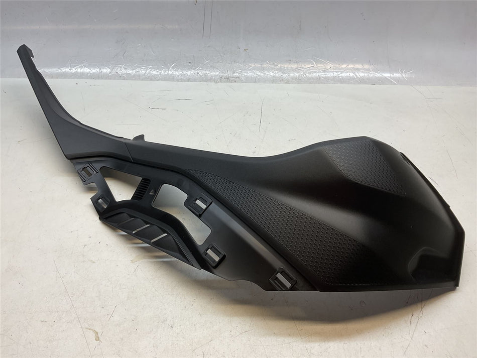 2021 BMW S1000R Fuel Tank Panel