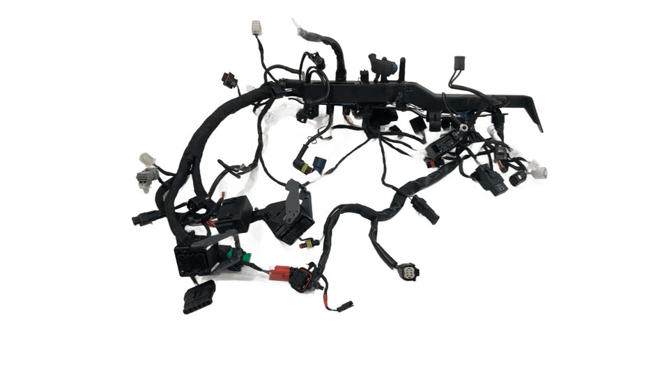 2025 Moto Guzzi V7 Sport 850 Wiring Harness Loom 2D000574