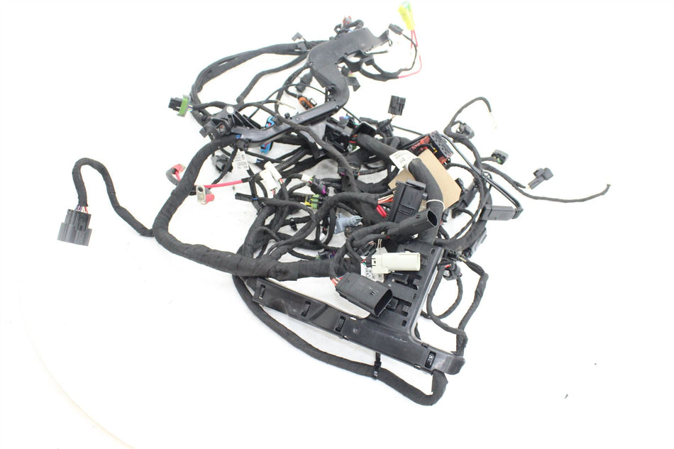 2023 HARLEY DAVIDSON SPORTSTER S22 Wiring Harness - 69202067A