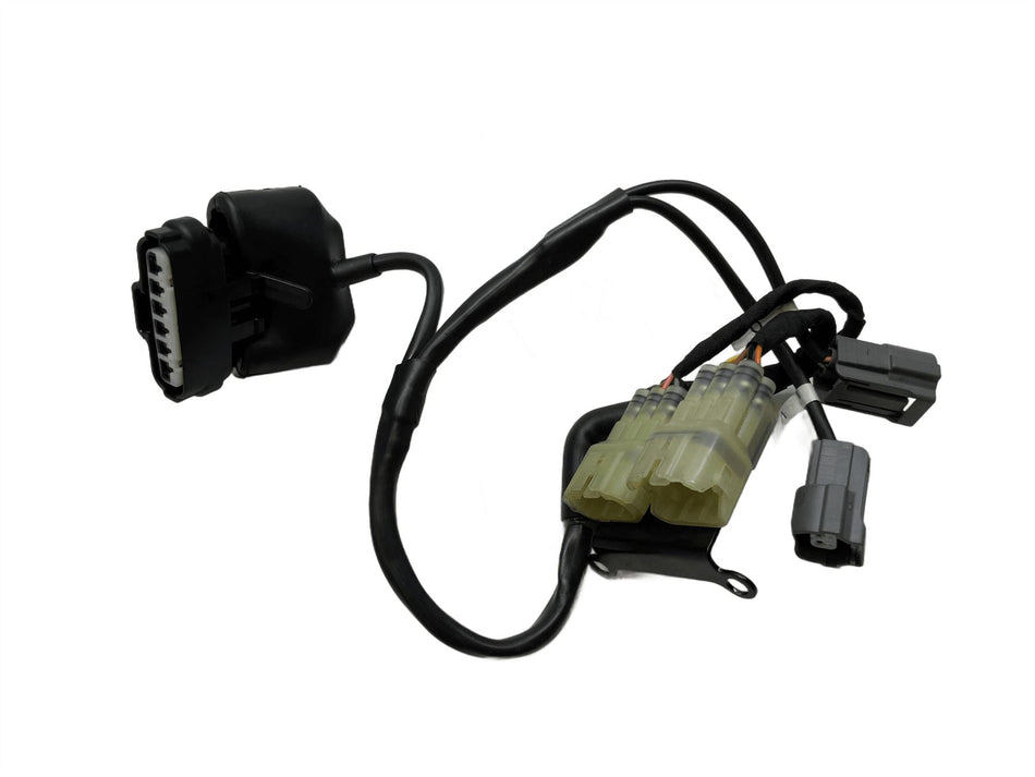 2024 Ducati Monster 937 Secondary Wiring Harness Loom 5101B121A