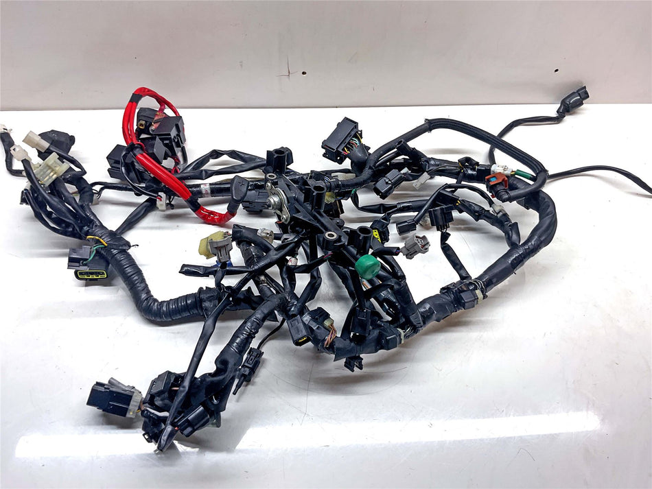 2014 Yamaha MT-09 Wiring Harness Loom - 2DR825900100