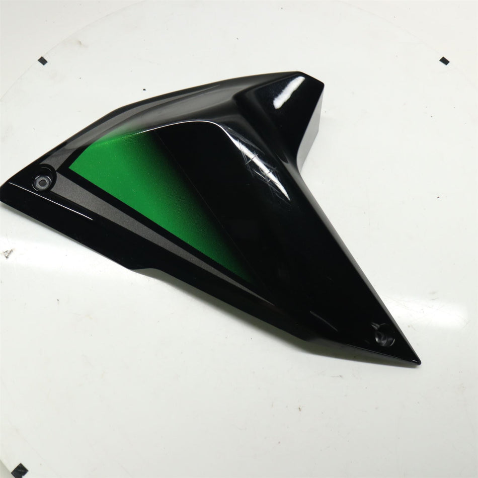 2021 KAWASAKI Z1000 ZR1000 ABS Left Rad Cover - 49134-0012-17K