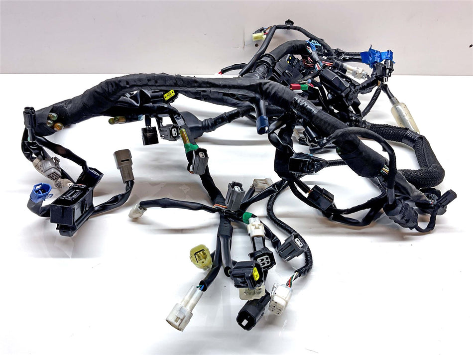 2023 Suzuki GSX-S1000 Wiring Harness Loom - 3661048KJ0000
