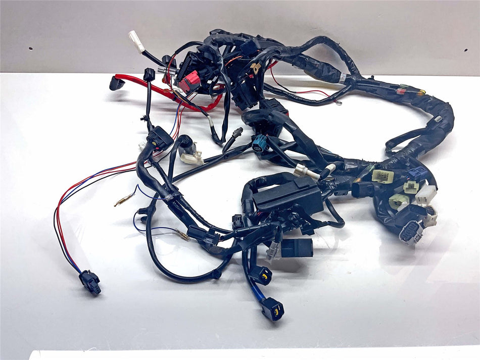 2024 Yamaha YZF R7 Wiring Harness Loom - BEB825902000