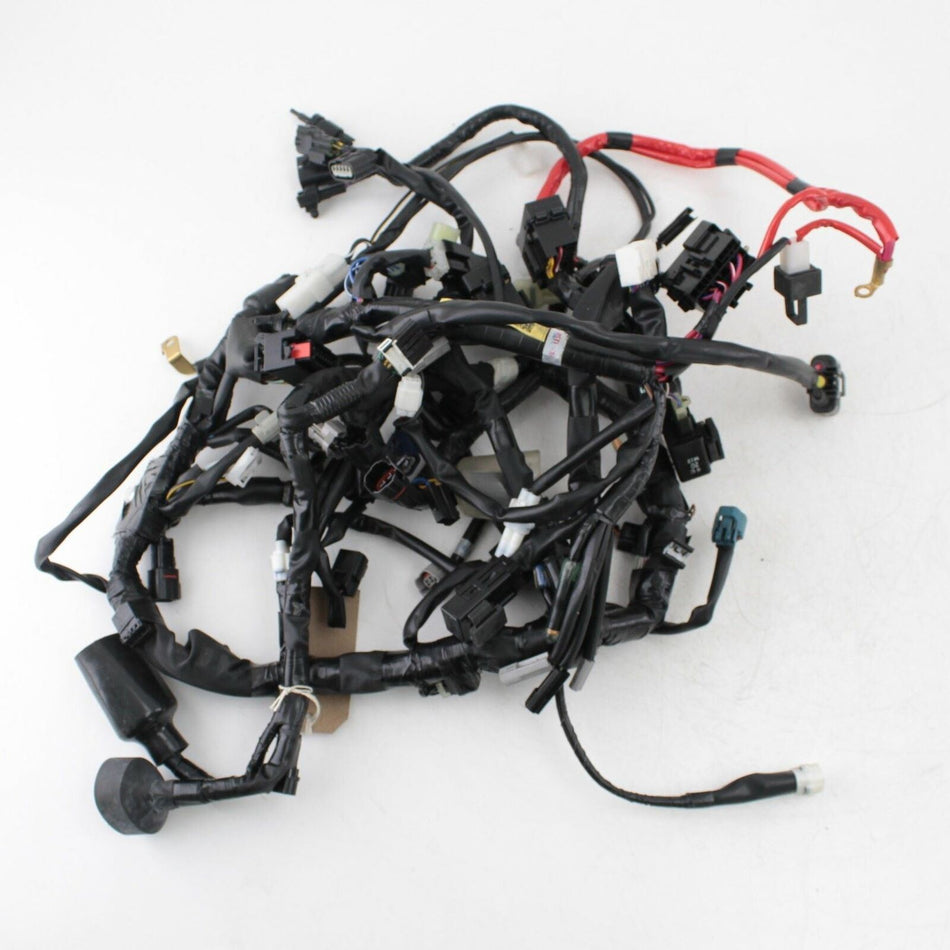 2018-2020 YAMAHA TRACER 900 Wiring Loom - B1J8259000
