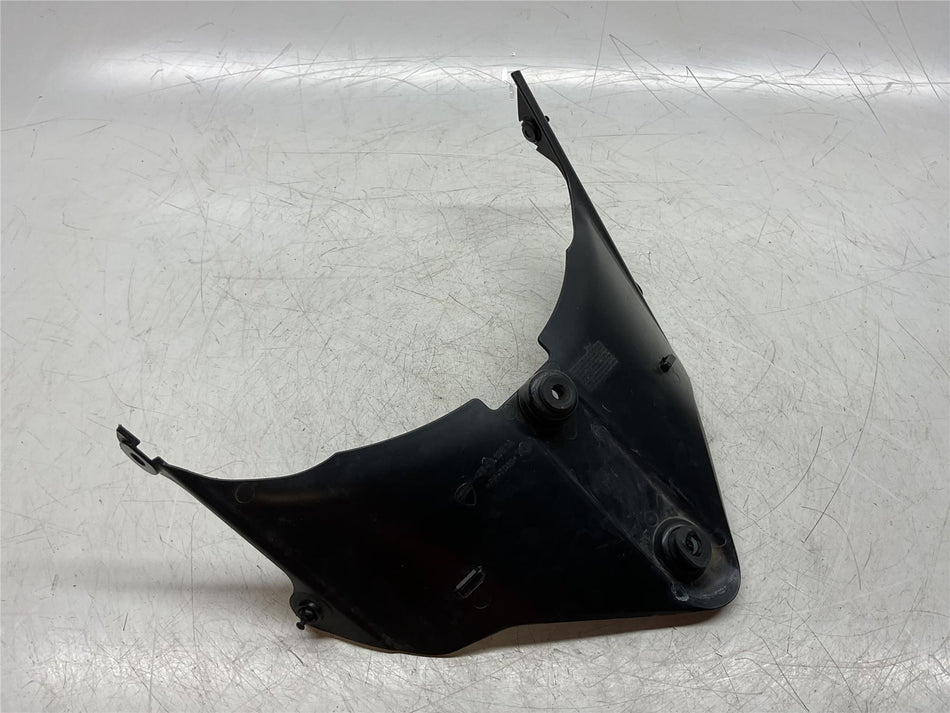 2018 Ducati 959 Panigale Front Yoke Splash Guard - 48411261A