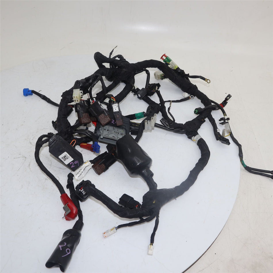 2024 KTM RC 125 Wiring Harness - 94511075000