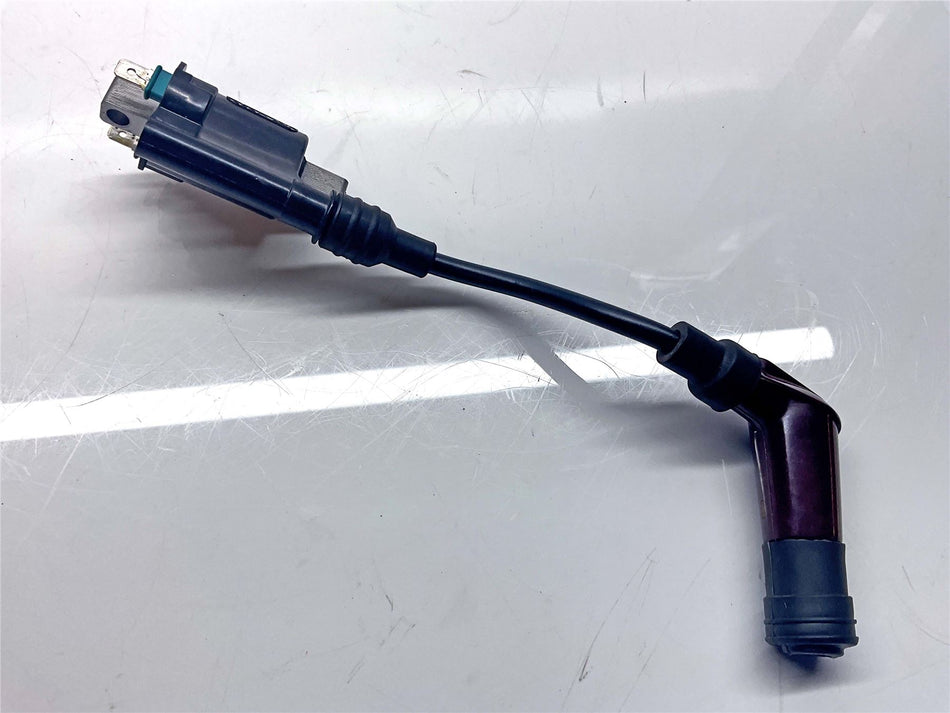2025 Triumph Speed Twin 900 Long Ignition Coil - T1294135