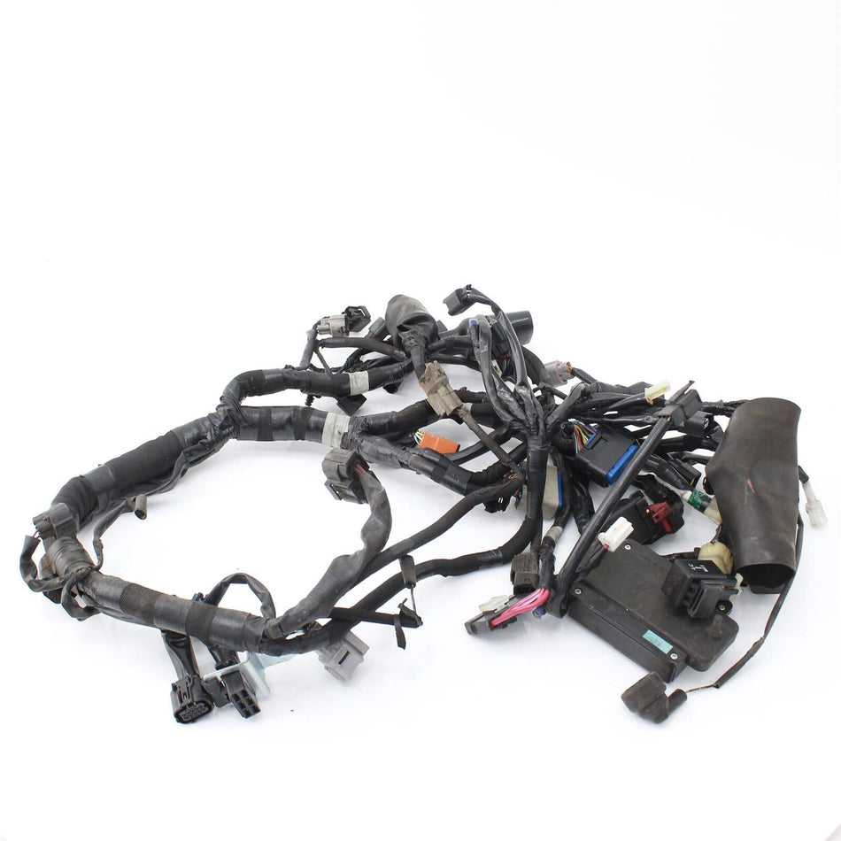 2019-ON KAWASAKI W 800 CAFE Wiring Harness - 260312650