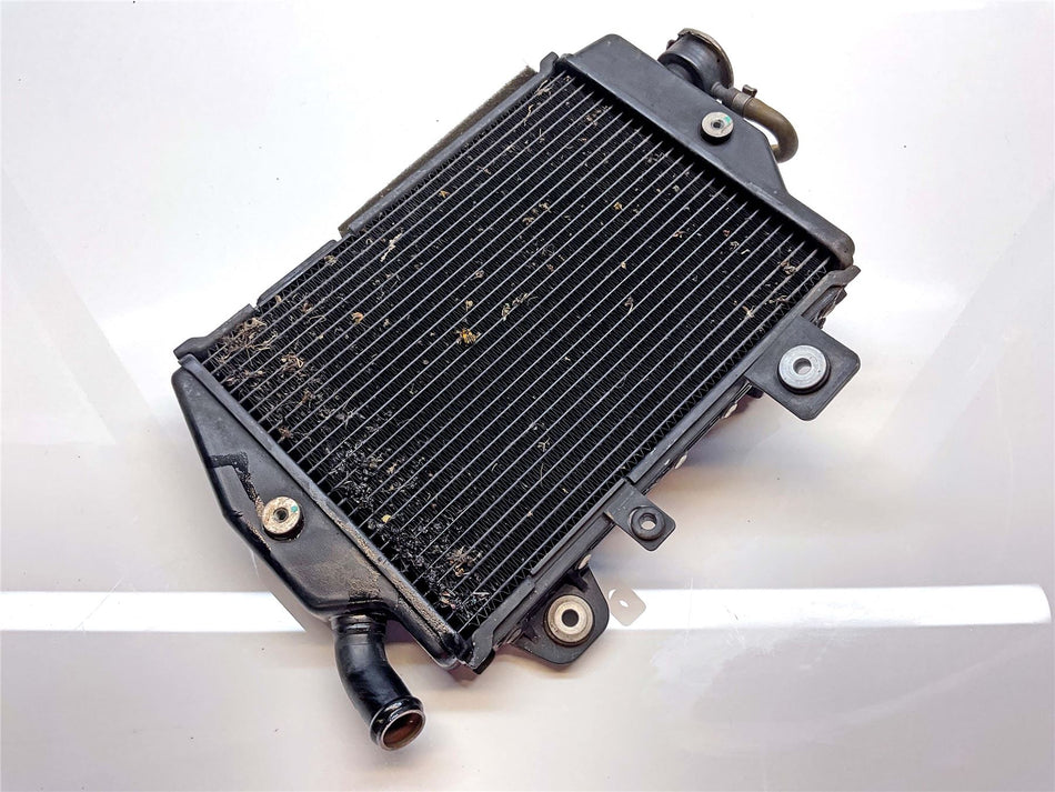 2021 Triumph Tiger 900 GT Pro Radiator - T2104211