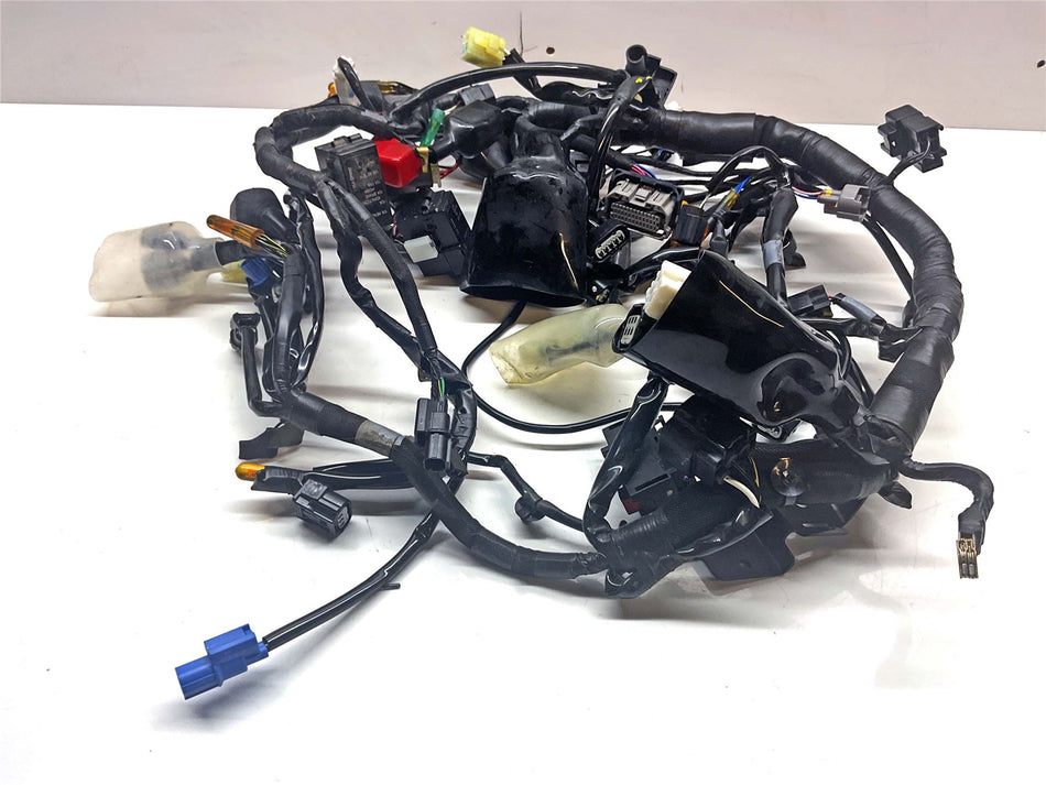 2024 Kawasaki Eliminator 450 EL450 Wiring Harness Loom - 260314198