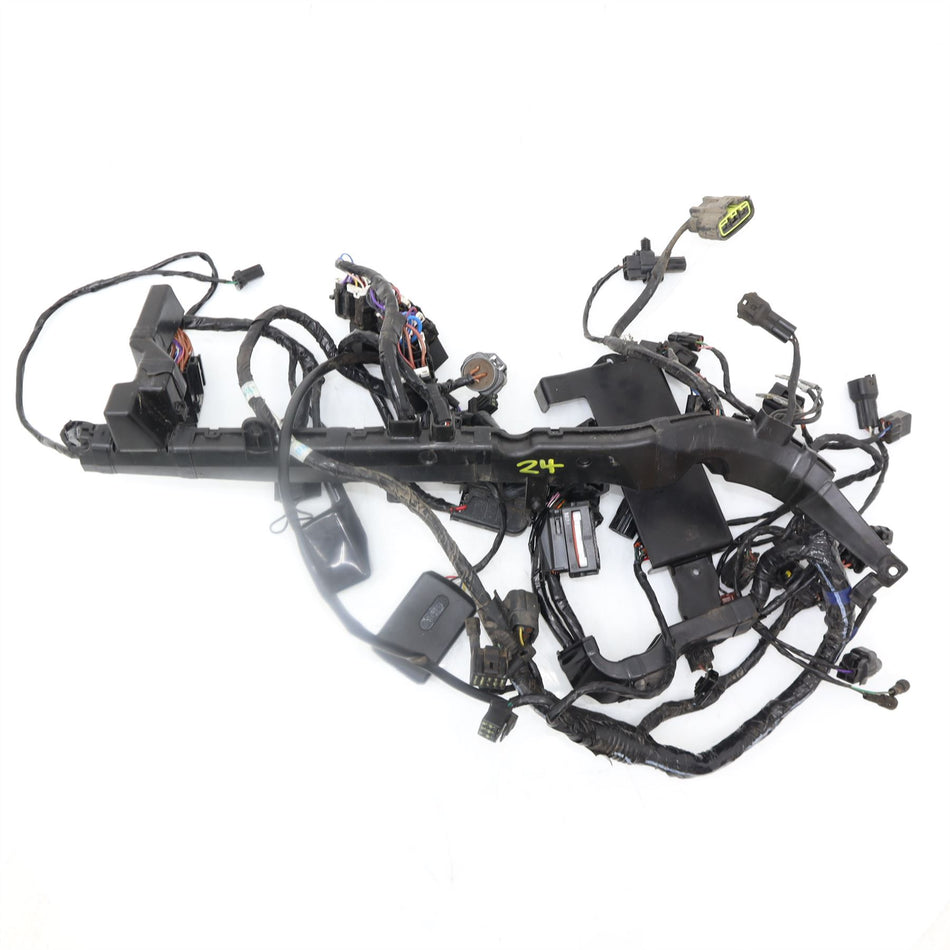 2016 TRIUMPH STREET TRIPLE Main Wiring Harness Loom - T2508082