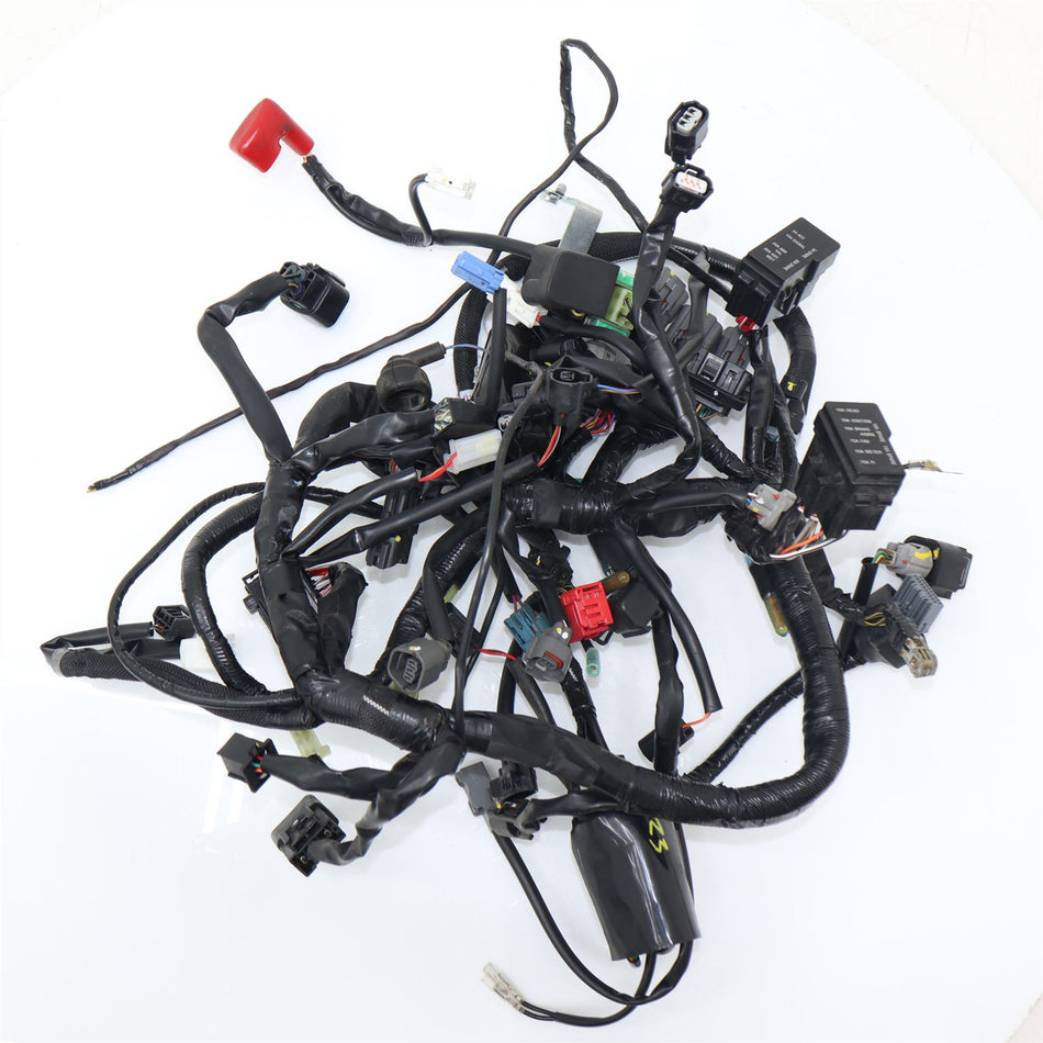 2018-2023 Kawasaki NINJA 400 Main Wiring Harness - 260313923