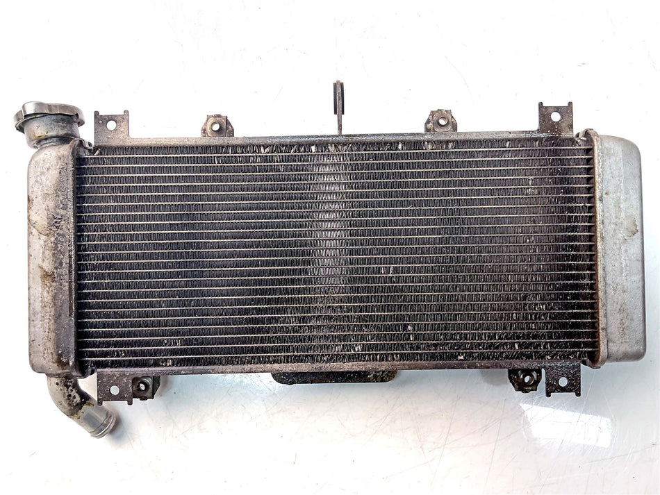 2020 Kawasaki Ninja 650 EX650 Radiator - 390610804