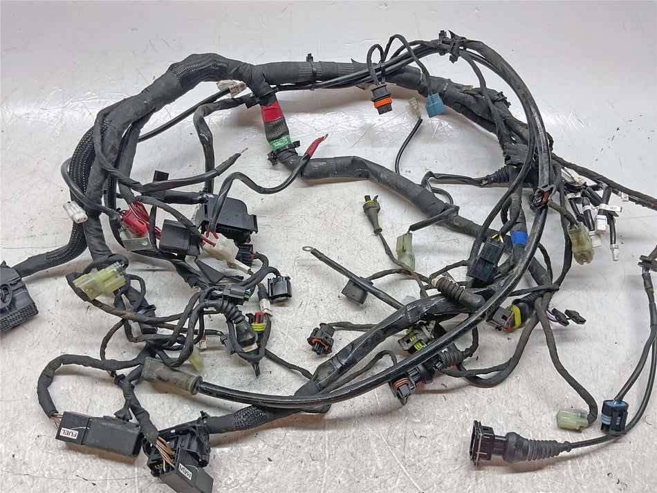 2022 Ducati Scrambler Urban Motard Main Wiring Harness Loom - 5101G711B