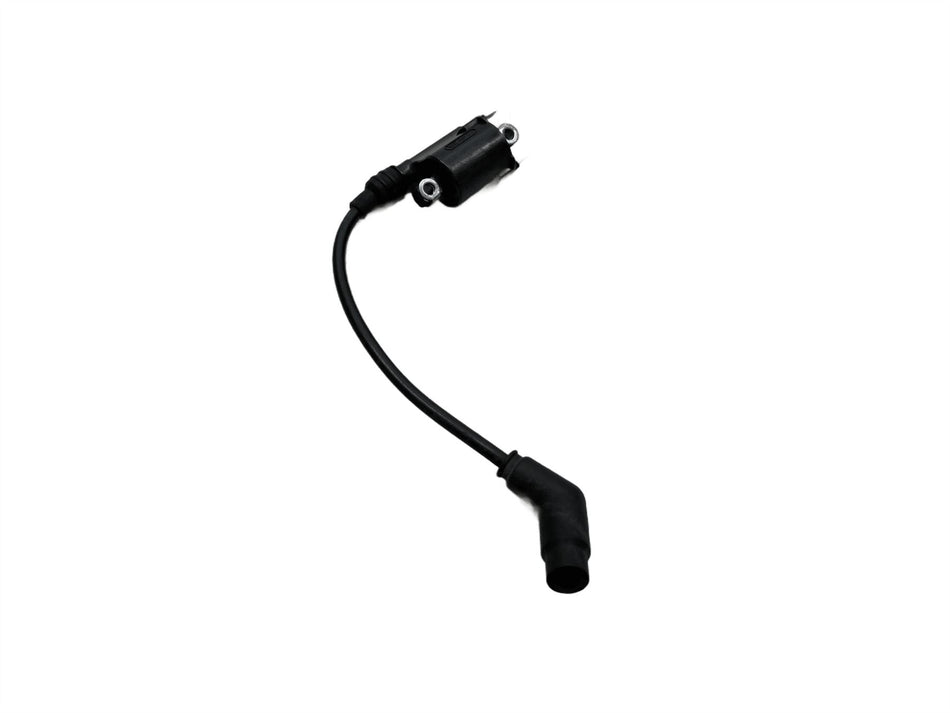 2019 Honda CB125F Ignition Coil 30510KPNE01