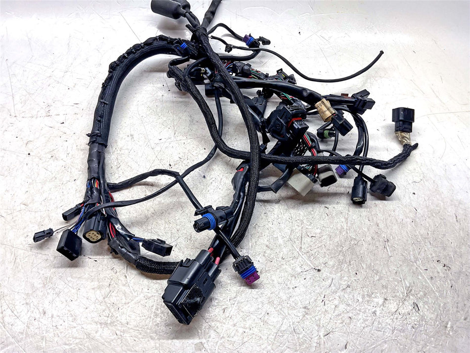 2014 Harley-Davidson Iron 883 XL883N Wiring Harness - 69200073
