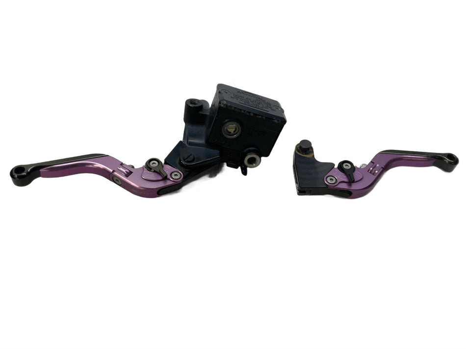 2012 Triumph Street Triple 675 Brake Master Cylinder with Adjustable Levers T202