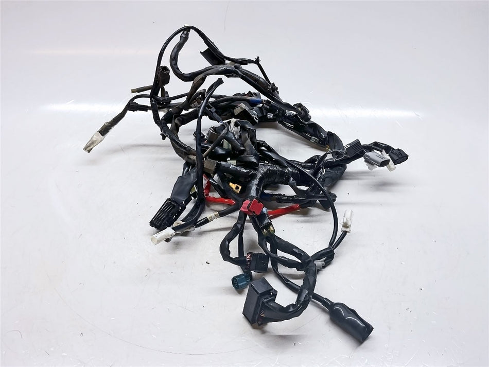 2024 Yamaha YZF R7 Wiring Harness - BEB8259000